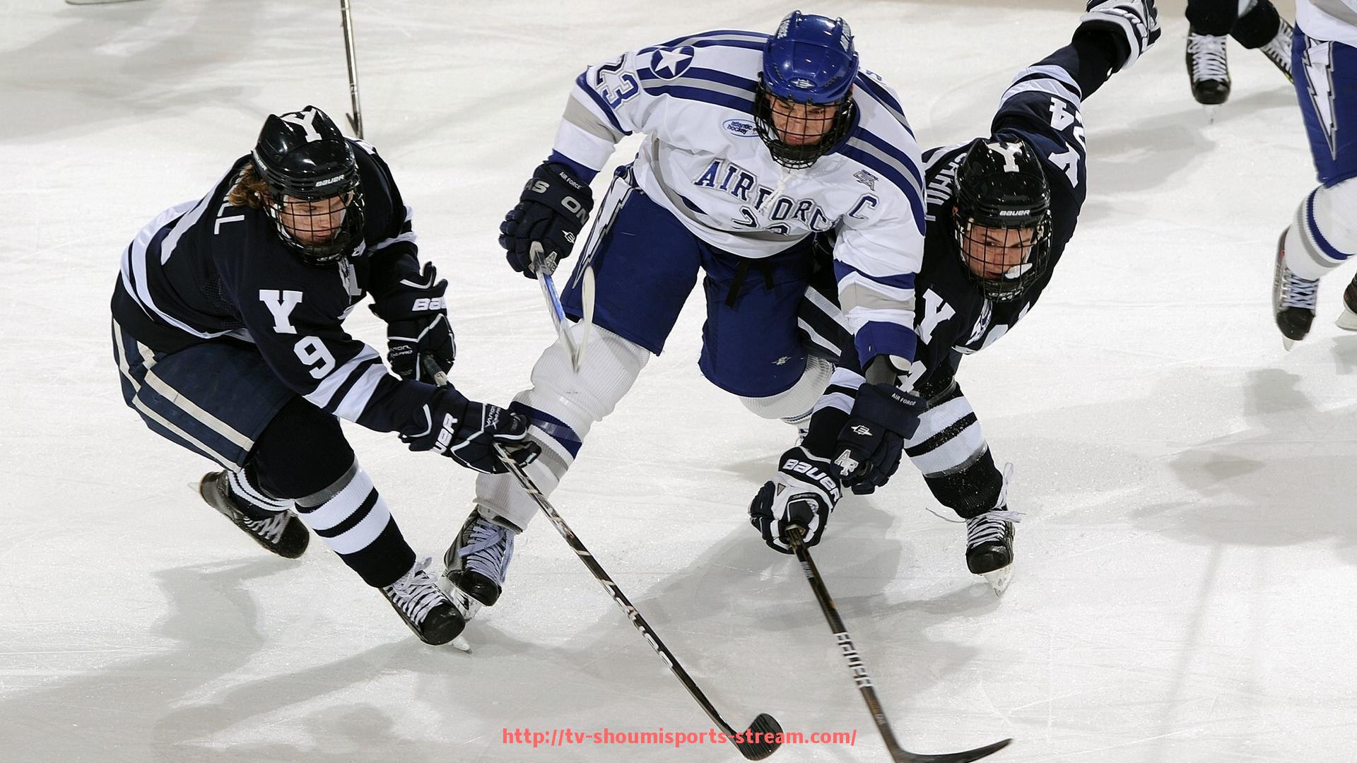 收米体育直播-志愿者报名流程与资格要求详解，欢迎参与世俱杯
