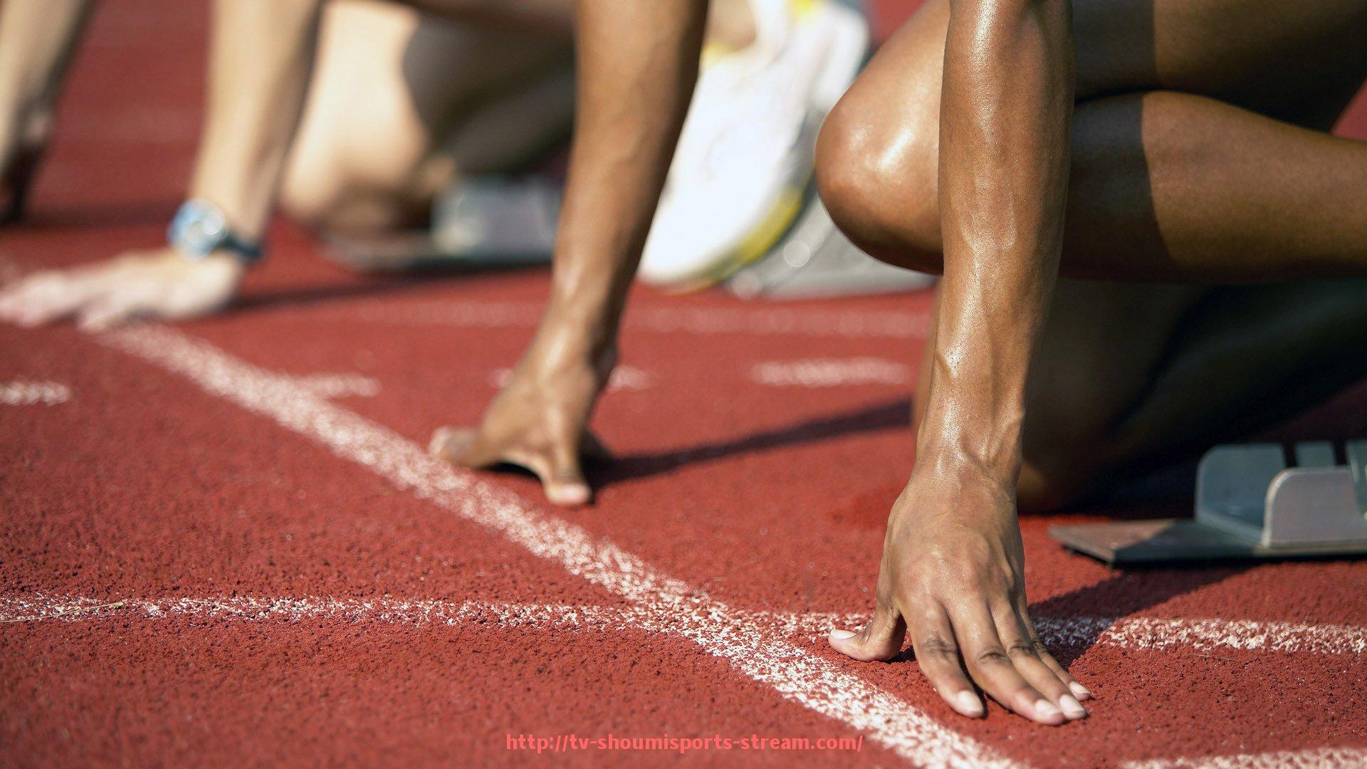 收米体育直播-面向世俱杯的主办城市绿地系统连接性提升对策研究